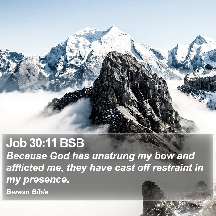 Job 30:11 BSB Bible Study