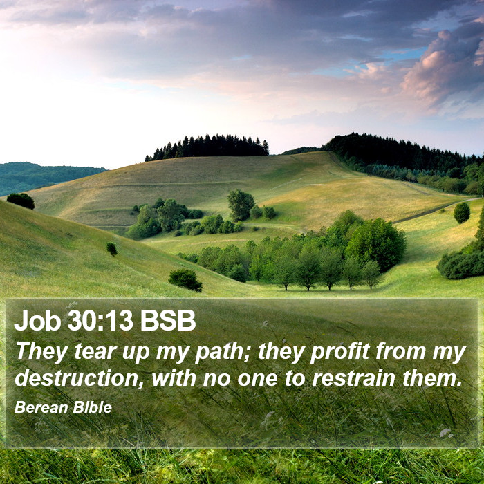 Job 30:13 BSB Bible Study