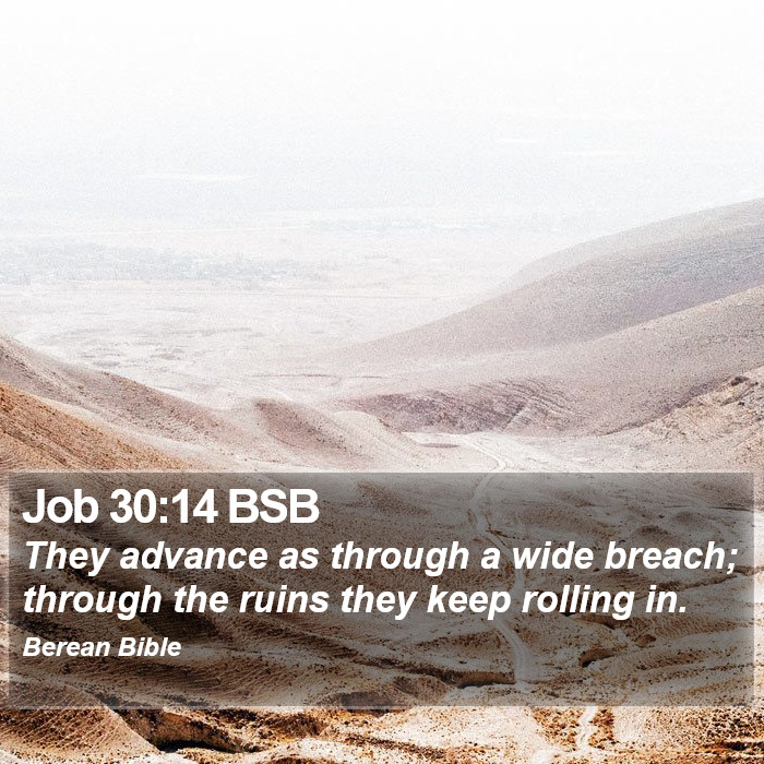 Job 30:14 BSB Bible Study