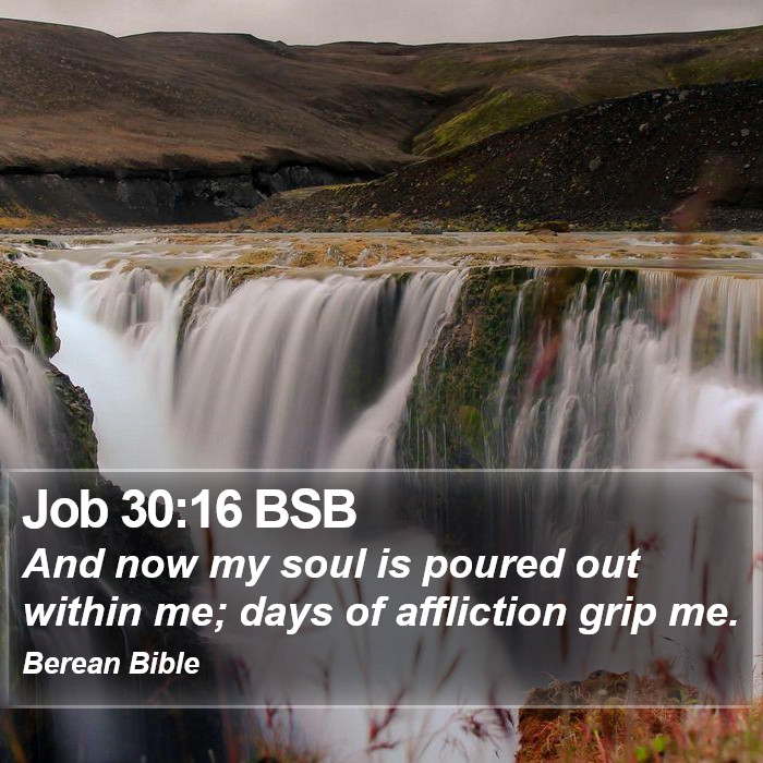 Job 30:16 BSB Bible Study