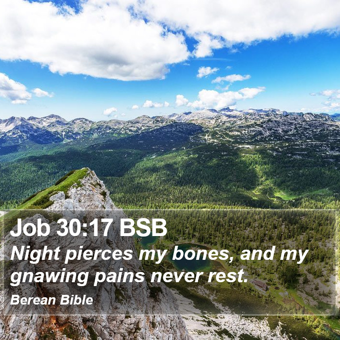 Job 30:17 BSB Bible Study