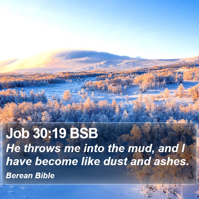 Job 30:19 BSB Bible Study