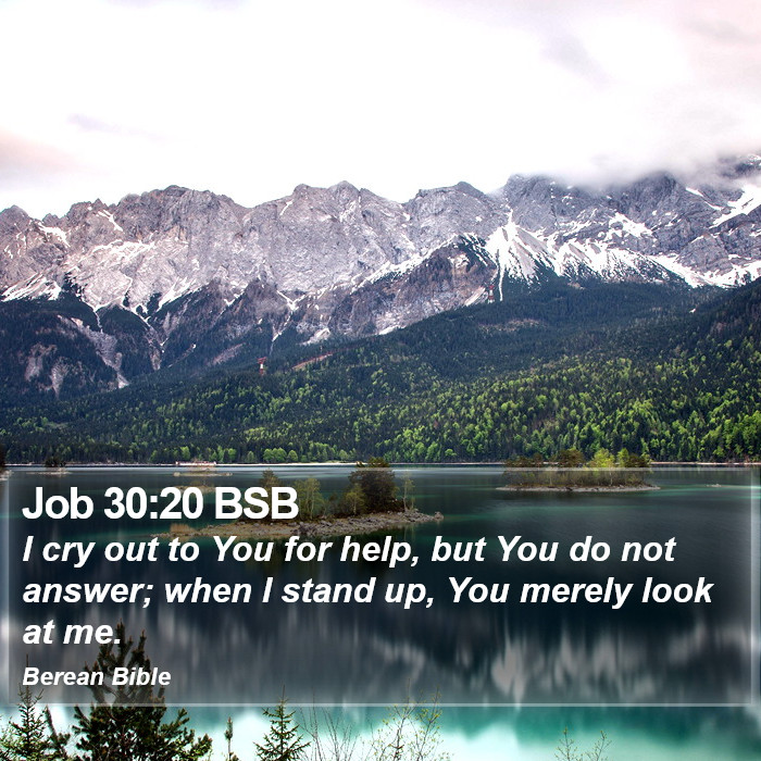 Job 30:20 BSB Bible Study