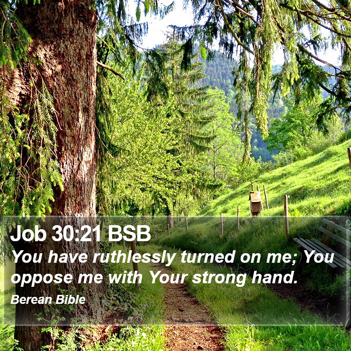 Job 30:21 BSB Bible Study