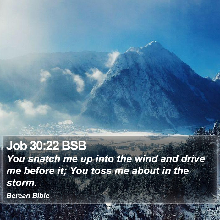 Job 30:22 BSB Bible Study