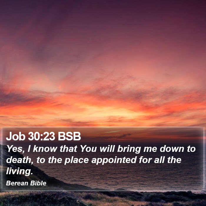 Job 30:23 BSB Bible Study