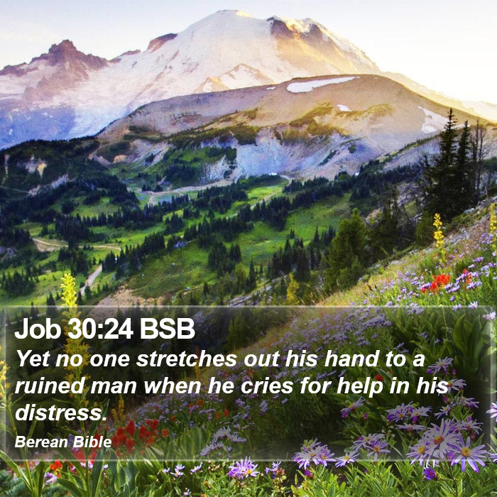 Job 30:24 BSB Bible Study