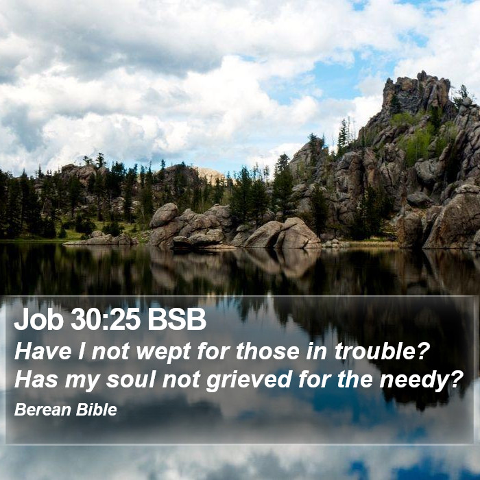 Job 30:25 BSB Bible Study