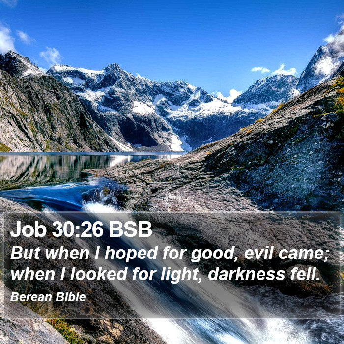 Job 30:26 BSB Bible Study