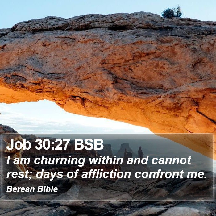 Job 30:27 BSB Bible Study