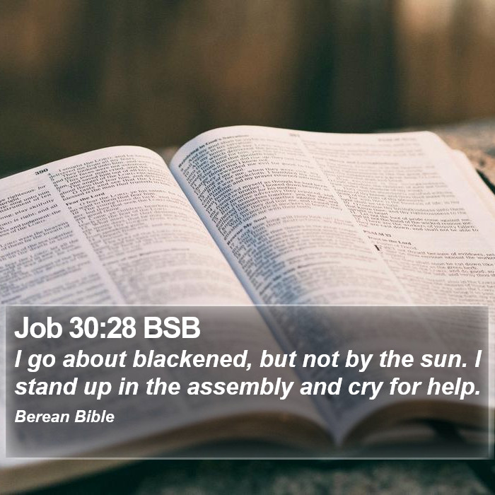 Job 30:28 BSB Bible Study