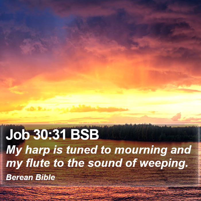 Job 30:31 BSB Bible Study