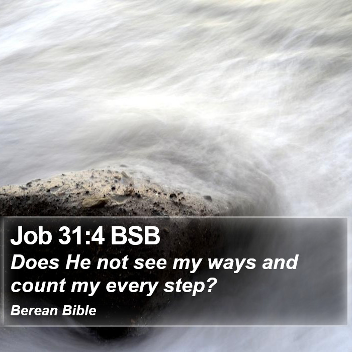 Job 31:4 BSB Bible Study