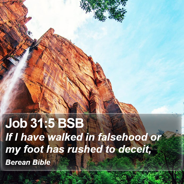 Job 31:5 BSB Bible Study