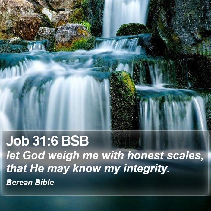 Job 31:6 BSB Bible Study