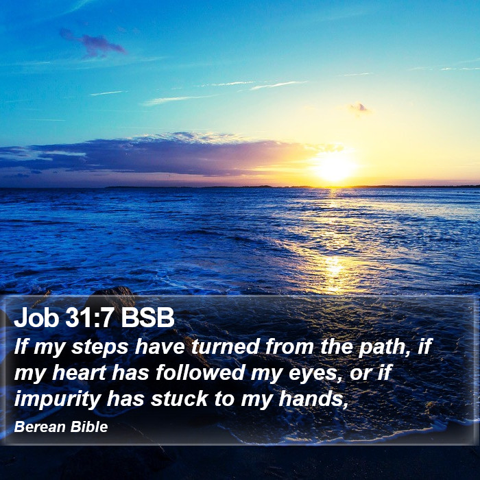 Job 31:7 BSB Bible Study