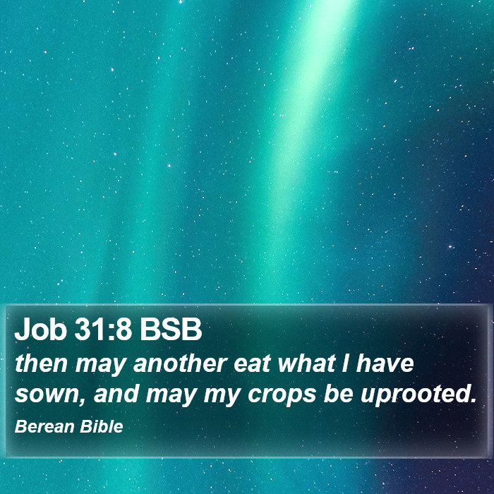 Job 31:8 BSB Bible Study