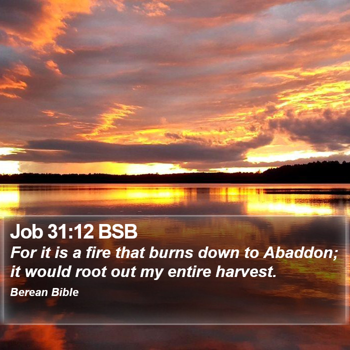 Job 31:12 BSB Bible Study