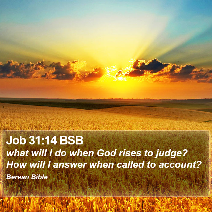 Job 31:14 BSB Bible Study