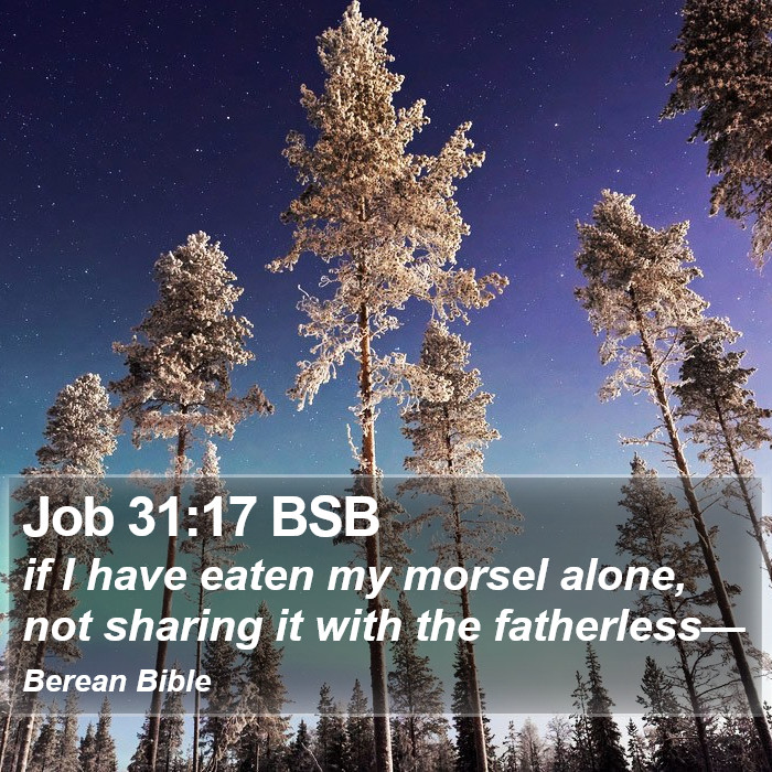 Job 31:17 BSB Bible Study