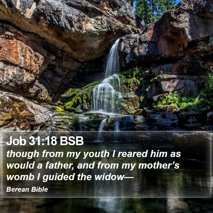 Job 31:18 BSB Bible Study