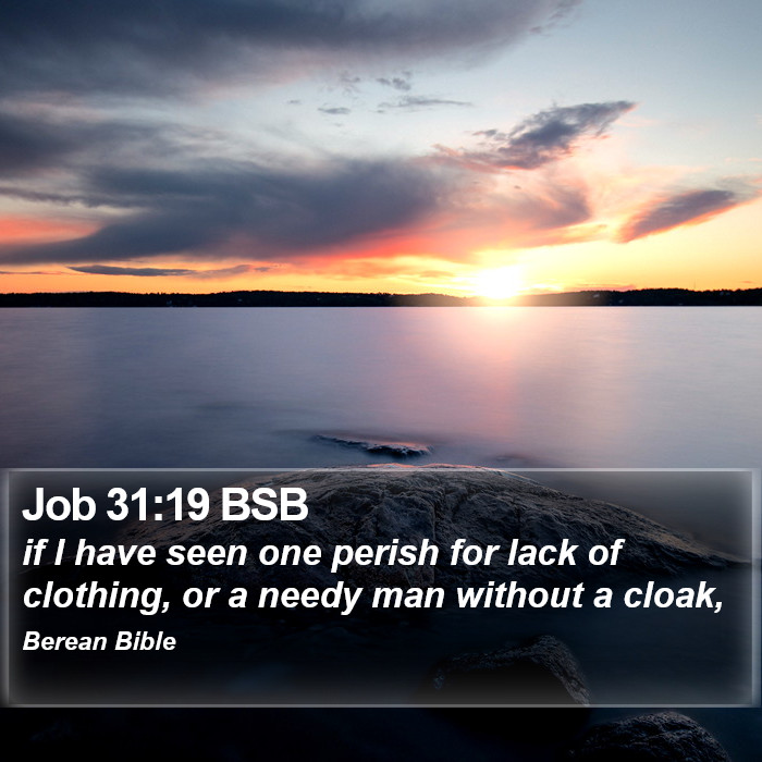 Job 31:19 BSB Bible Study