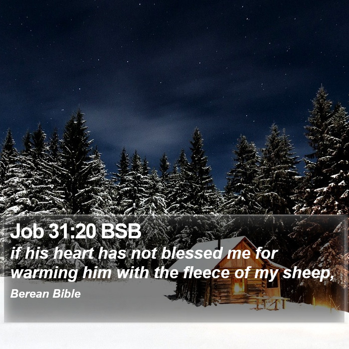 Job 31:20 BSB Bible Study