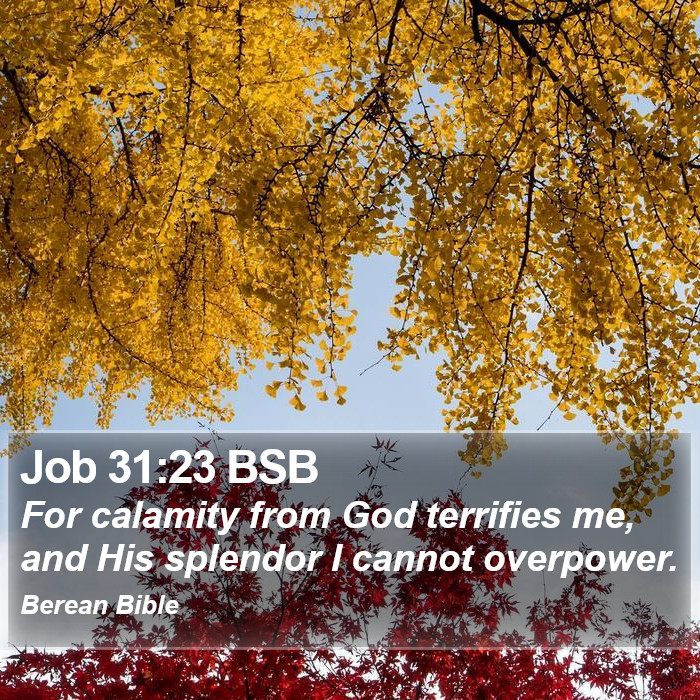 Job 31:23 BSB Bible Study