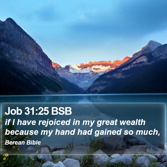 Job 31:25 BSB Bible Study