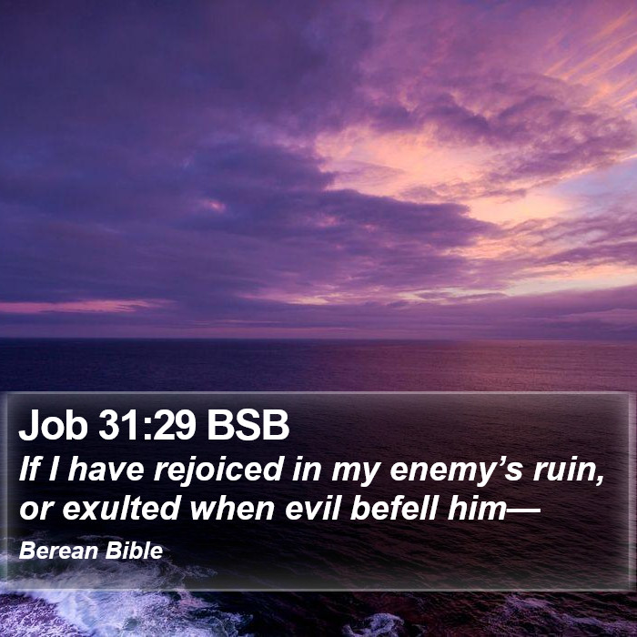 Job 31:29 BSB Bible Study