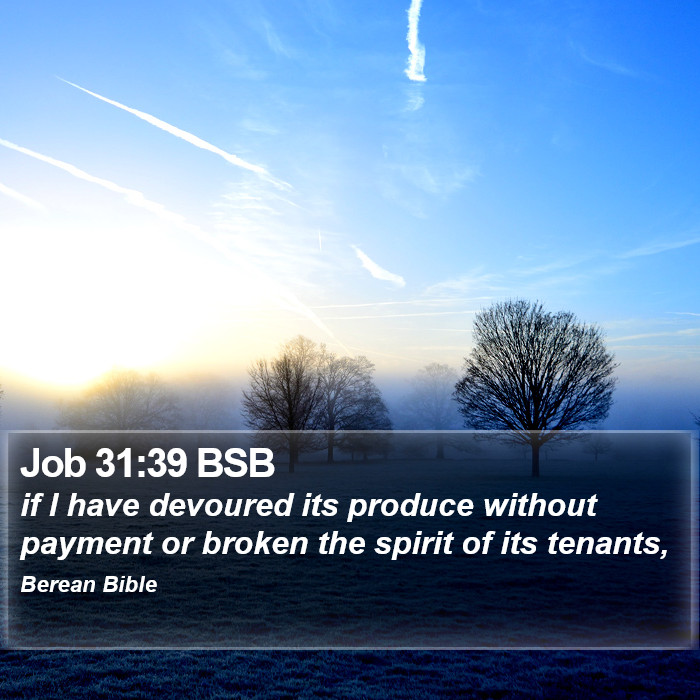 Job 31:39 BSB Bible Study