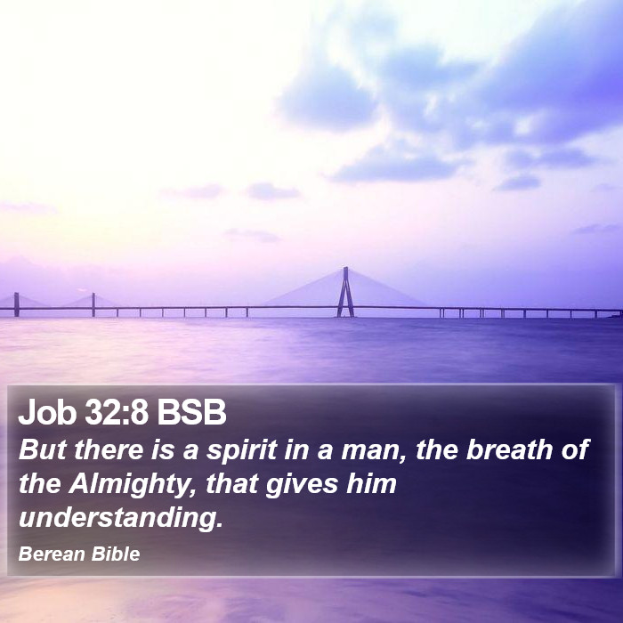 Job 32:8 BSB Bible Study