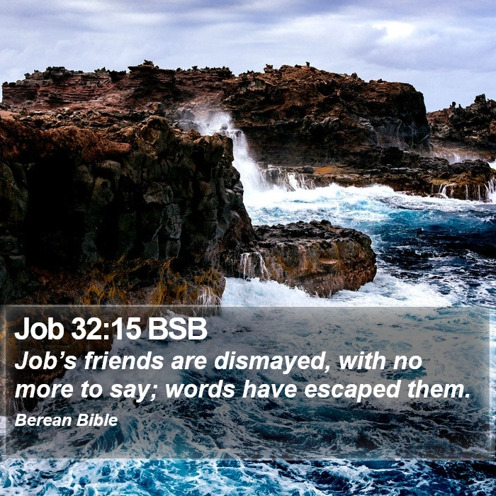 Job 32:15 BSB Bible Study