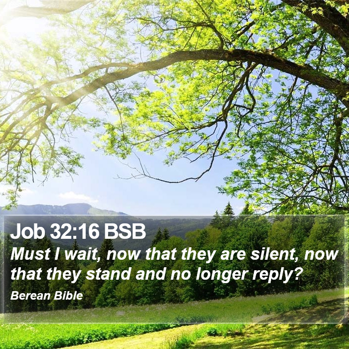 Job 32:16 BSB Bible Study