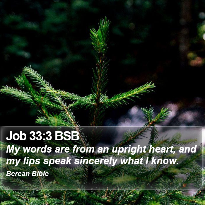 Job 33:3 BSB Bible Study