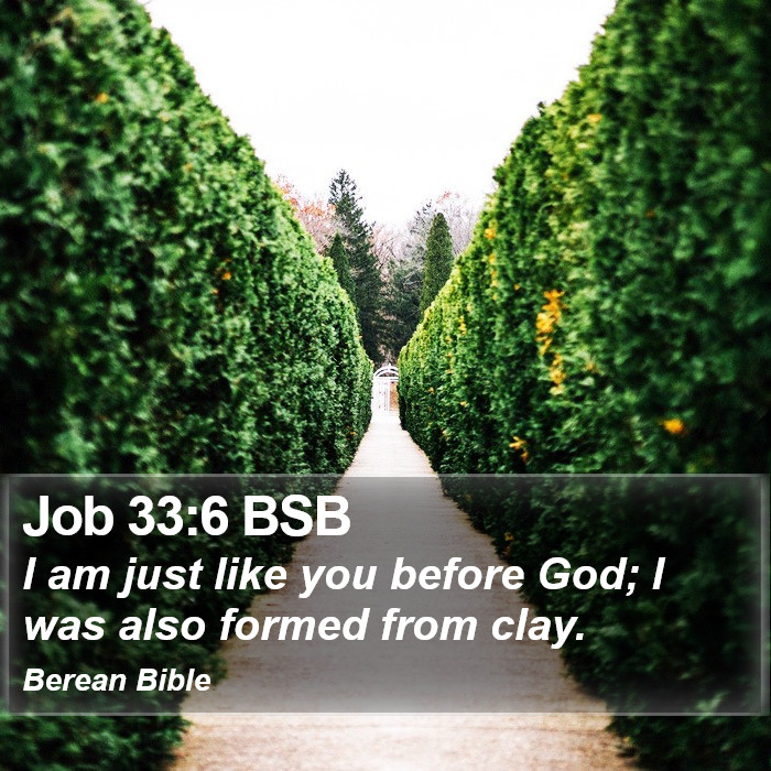 Job 33:6 BSB Bible Study