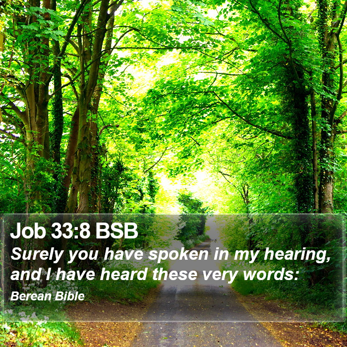 Job 33:8 BSB Bible Study