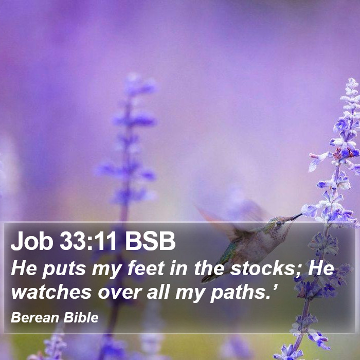 Job 33:11 BSB Bible Study