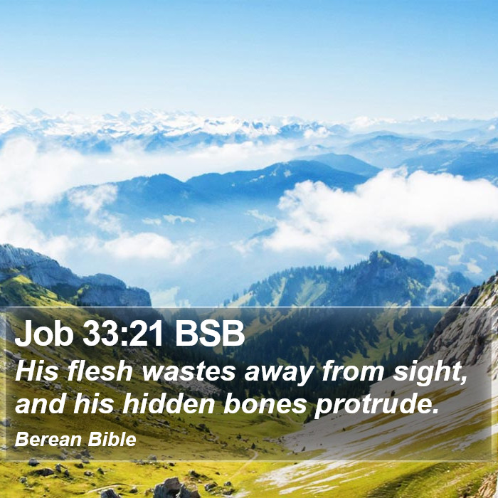 Job 33:21 BSB Bible Study