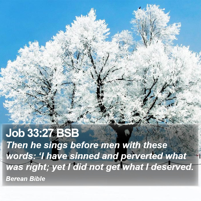 Job 33:27 BSB Bible Study