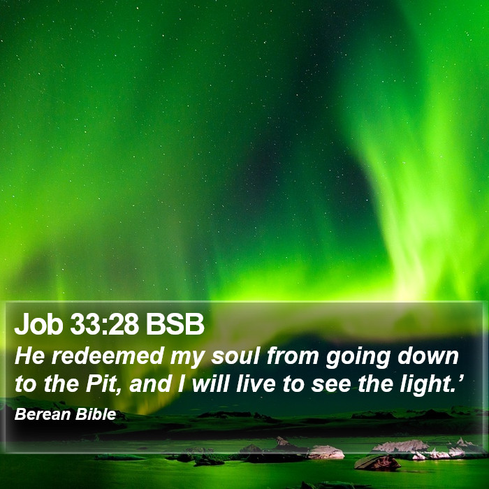 Job 33:28 BSB Bible Study