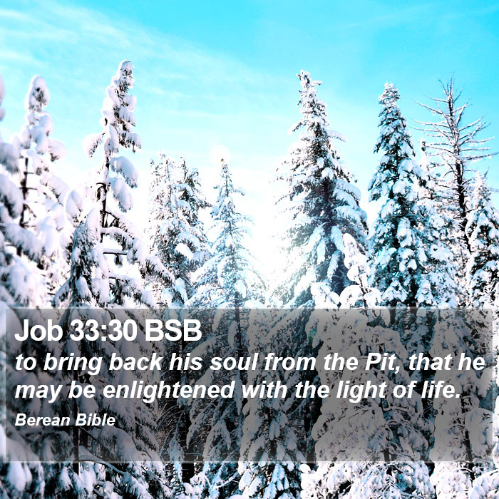 Job 33:30 BSB Bible Study