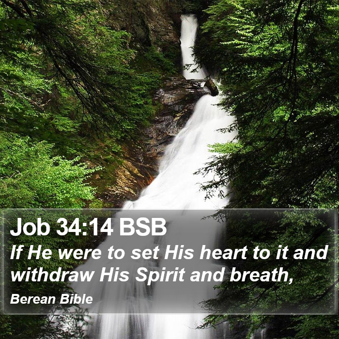 Job 34:14 BSB Bible Study