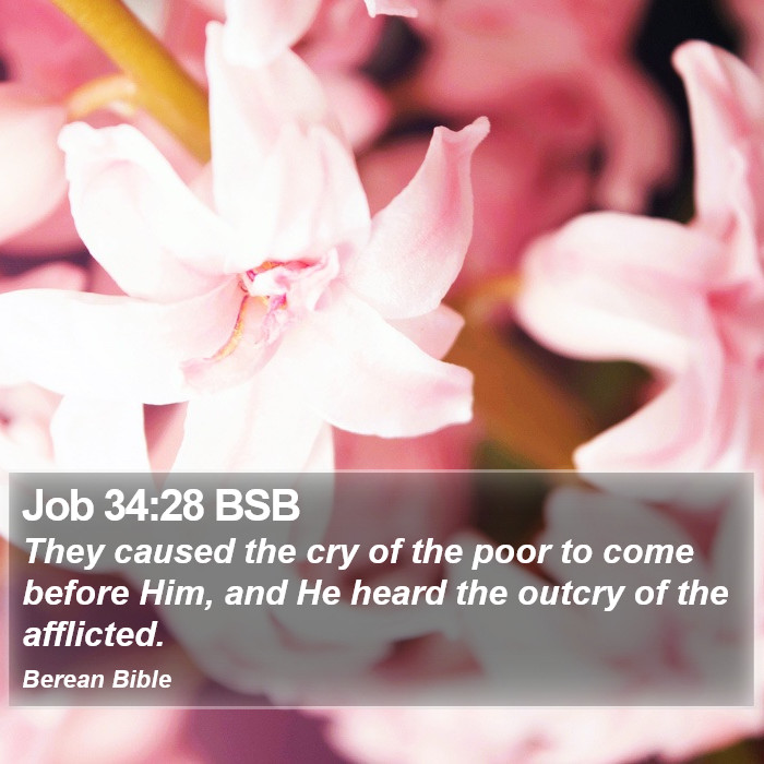 Job 34:28 BSB Bible Study