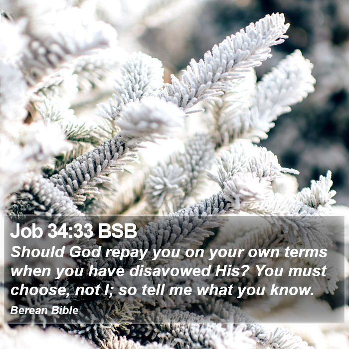 Job 34:33 BSB Bible Study