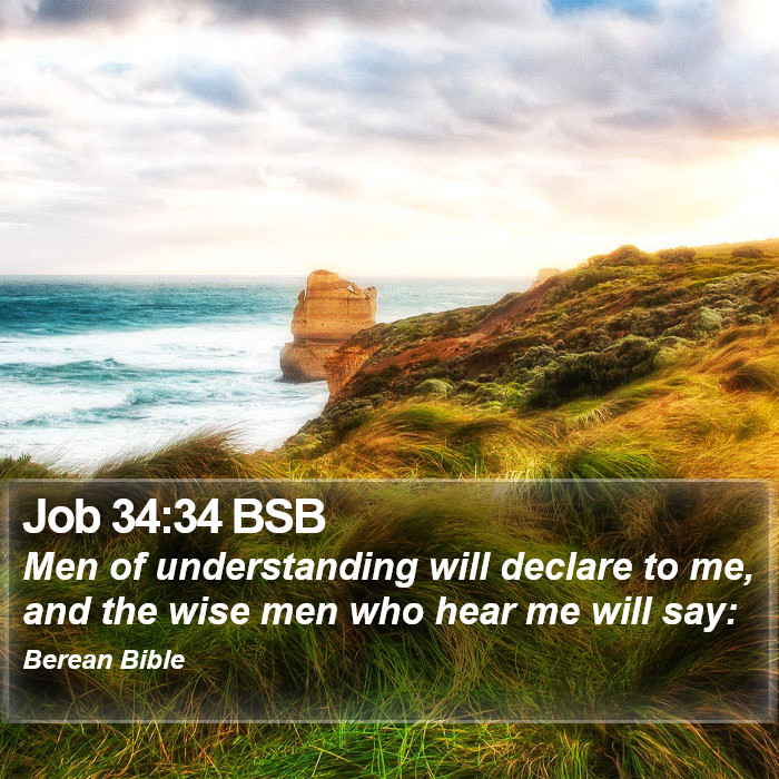 Job 34:34 BSB Bible Study