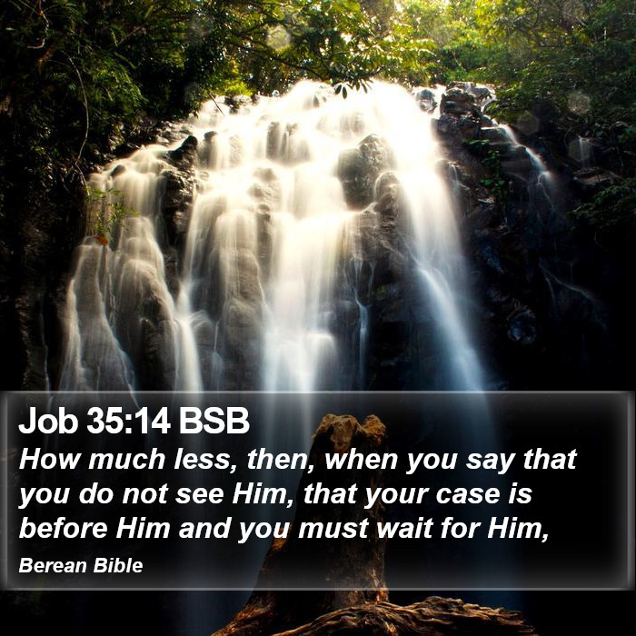 Job 35:14 BSB Bible Study