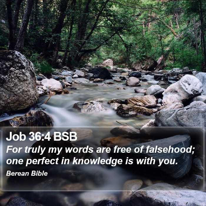 Job 36:4 BSB Bible Study