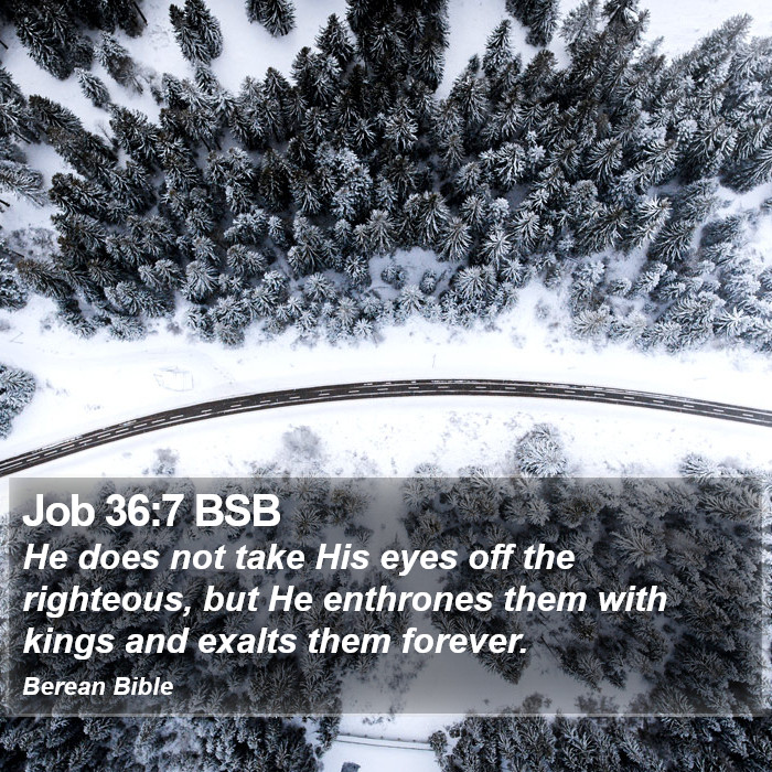 Job 36:7 BSB Bible Study