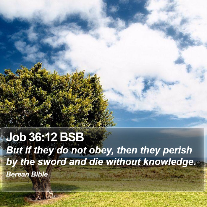 Job 36:12 BSB Bible Study